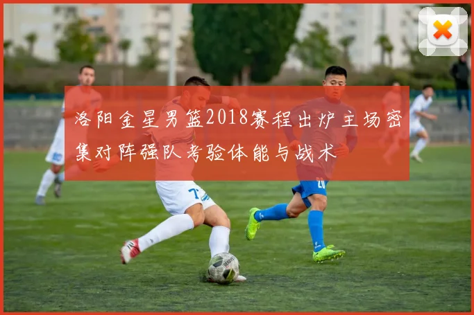 洛阳金星男篮2018赛程出炉主场密集对阵强队考验体能与战术
