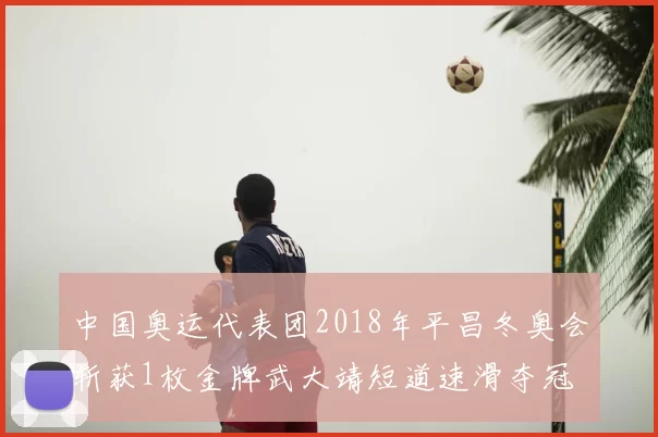 中国奥运代表团2018年平昌冬奥会斩获1枚金牌武大靖短道速滑夺冠