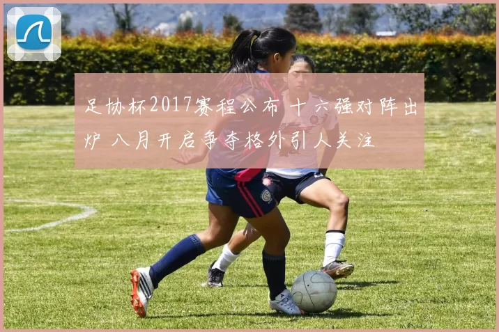 足协杯2017赛程公布 十六强对阵出炉 八月开启争夺格外引人关注